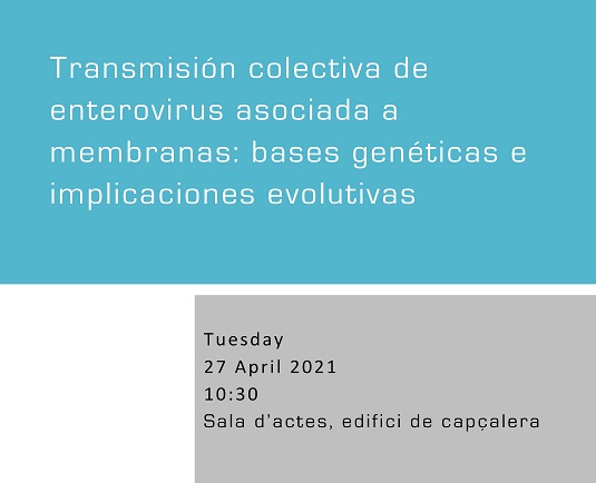 Transmisión colectiva de enterovirus asociada a membranas: bases genéticas e implicaciones evolutivas